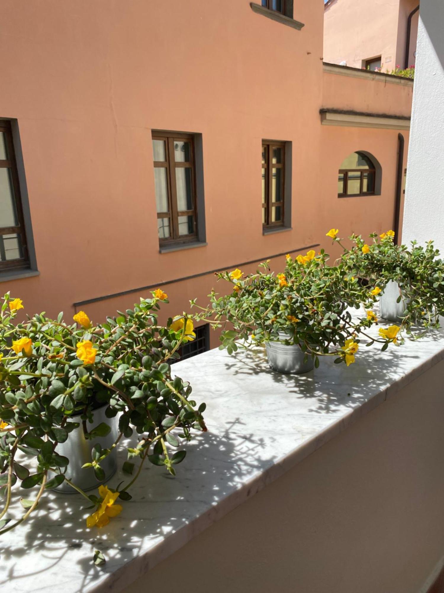 Blom Apartments Pisa Exteriér fotografie